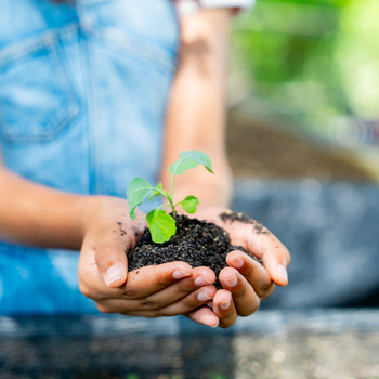 Агротехнологические классы в общеобразовательных организациях - fgospostavki.ru - Челябинск
