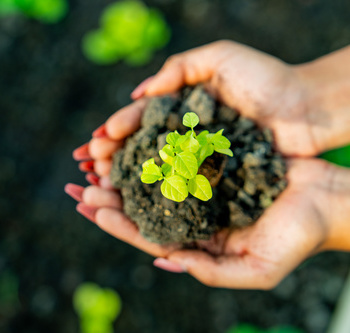 Инженерные биологические системы: междисциплинарное образование в школах - fgospostavki.ru - Челябинск