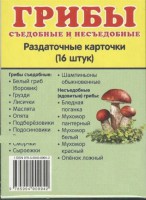 Раздаточные карточки "Грибы съедобные и не съедобные" - fgospostavki.ru - Челябинск