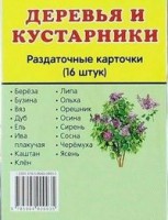 Раздаточные карточки "Деревья и кустарники" - fgospostavki.ru - Челябинск