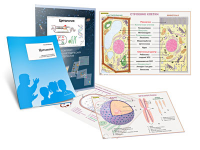 Комплект кодотранспарантов "Цитология" - fgospostavki.ru - Челябинск