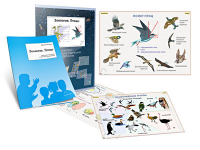 Комплект кодотранспарантов "Зоология. Птицы" - fgospostavki.ru - Челябинск
