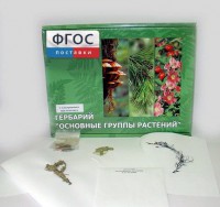 Гербарий "Основные группы растений" (52 листа) - fgospostavki.ru - Челябинск