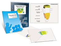 Комплект кодотранспарантов "Корень. Стебель. Лист (Внутреннее строение)" - fgospostavki.ru - Челябинск