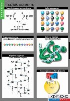Комплект таблиц. Биология. Химия клетки. - fgospostavki.ru - Челябинск