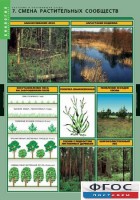 Комплект таблиц. Биология. Растения и окружающая среда. - fgospostavki.ru - Челябинск