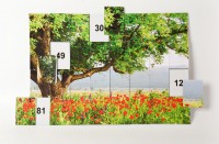 Магнитная таблица умножения "Поле" - fgospostavki.ru - Челябинск