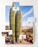 Магнитная орфография (безударные гласные, 1 класс) "Кактус" - fgospostavki.ru - Челябинск