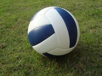 Мяч волейбольный звенящий - fgospostavki.ru - Челябинск