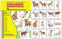 Демонстрационные карточки "Домашние животные" - fgospostavki.ru - Челябинск