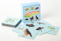 Набор магнитных карточек "Устный счет" (фон голубой) - fgospostavki.ru - Челябинск