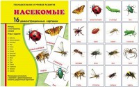 Демонстрационные карточки "Насекомые" - fgospostavki.ru - Челябинск