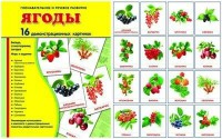 Демонстрационные карточки "Ягоды" - fgospostavki.ru - Челябинск