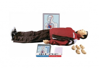 "Максим III-01" тренажер сердечно-легочной и мозговой реанимации - fgospostavki.ru - Челябинск