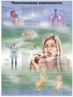 Плакат "Никотиновая зависимость" ламинированный - fgospostavki.ru - Челябинск