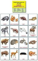 Раздаточные карточки "Дикие животные (1)" - fgospostavki.ru - Челябинск
