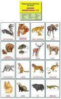 Раздаточные карточки "Дикие животные (2)" - fgospostavki.ru - Челябинск
