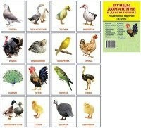 Раздаточные карточки "Птицы домашние и декоративные" - fgospostavki.ru - Челябинск