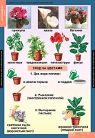 Комплект таблиц. Окружающий мир 1 класс. - fgospostavki.ru - Челябинск