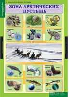 Комплект таблиц. Окружающий мир 4 класс. - fgospostavki.ru - Челябинск