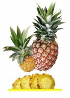 Комплект карточек "Запоминай, играй, считай" - Фрукты - fgospostavki.ru - Челябинск