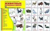 Демонстрационные карточки "Животные холодных широт" - fgospostavki.ru - Челябинск