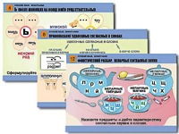 Комплект таблиц "Русский язык. Орфография" (14 таблиц, формат А1, ламинированные) - fgospostavki.ru - Челябинск