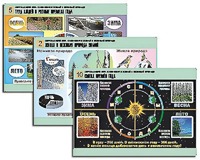 Комплект таблиц "Окружающий мир. Изменения в живой и неживой природе" (10 таблиц, А1, ламинированные) - fgospostavki.ru - Челябинск