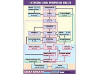Таблица демонстрационная "Генетическая связь органических веществ" (винил 100x140) - fgospostavki.ru - Челябинск