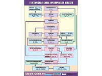 Таблица демонстрационная "Генетическая связь органических веществ" (винил 70x100) - fgospostavki.ru - Челябинск