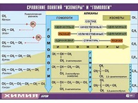 Таблица демонстрационная "Сравнение понятий изомер и гомолог" (винил 70x100) - fgospostavki.ru - Челябинск
