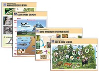 Комплект таблиц по биологии демонстрационных "Общая биология 2" (14 таблиц, формат А1, ламинированные) - fgospostavki.ru - Челябинск