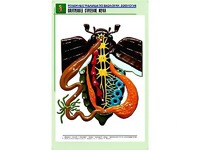 Рельефная таблица "Внутреннее строение жука" (формат А1, матовое ламинирование) - fgospostavki.ru - Челябинск