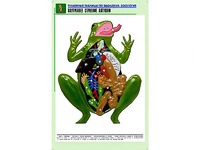 Рельефная таблица "Внутреннее строение лягушки" (формат А1, матовое ламинирование) - fgospostavki.ru - Челябинск