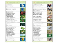 Комплект карточек (10) "Обучающий калейдоскоп. Природа" - fgospostavki.ru - Челябинск