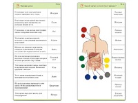 Комплект карточек (10) "Обучающий калейдоскоп. Человек" - fgospostavki.ru - Челябинск
