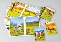 Настольно-печатная игра "Вокруг света" - fgospostavki.ru - Челябинск