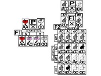 Модель-аппликация "Неполное доминирование и взаимодействие генов" (ламинированная) - fgospostavki.ru - Челябинск