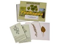 Гербарий "Лекарственные растения" (22 вида с иллюстрациями) - fgospostavki.ru - Челябинск