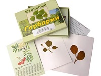 Гербарий "Систематика растений. Семейство Розоцветные" (раздаточный) - fgospostavki.ru - Челябинск
