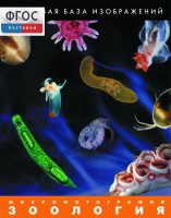 Зоология. Микрофотографии. (Цифровая база изображений) - fgospostavki.ru - Челябинск