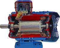 Учебная модель «Электродвигатель асинхронный в разрезе» - fgospostavki.ru - Челябинск