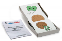 Модель-аппликация "Размножение одноклеточной водоросли" (набор из 11 карт) - fgospostavki.ru - Челябинск