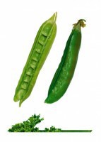 Комплект карточек "Запоминай, играй, считай" -  Овощи - fgospostavki.ru - Челябинск