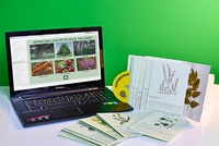 Гербарий натурально-интерактивный "Лекарственные растения" - fgospostavki.ru - Челябинск