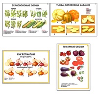 Плакаты ПРОФТЕХ "Ассортимент овощных культур" (12 пл, винил, 70х100) - fgospostavki.ru - Челябинск