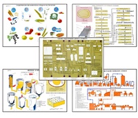 Плакаты ПРОФТЕХ "Сырье и материалы хлебопекарного производства" (20 пл, винил, 70х100) - fgospostavki.ru - Челябинск