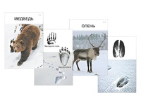 Комплект дидактических карточек "Следы на снегу" - fgospostavki.ru - Челябинск