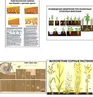 Плакаты ПРОФТЕХ "Агрономия" (5 пл, винил, 70х100) - fgospostavki.ru - Челябинск