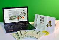 Гербарий натурально-интерактивный "Деревья и кустарники" - fgospostavki.ru - Челябинск